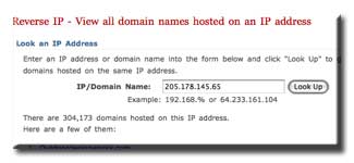 Reverse IP lookup shows 304k web sites on a single address/server