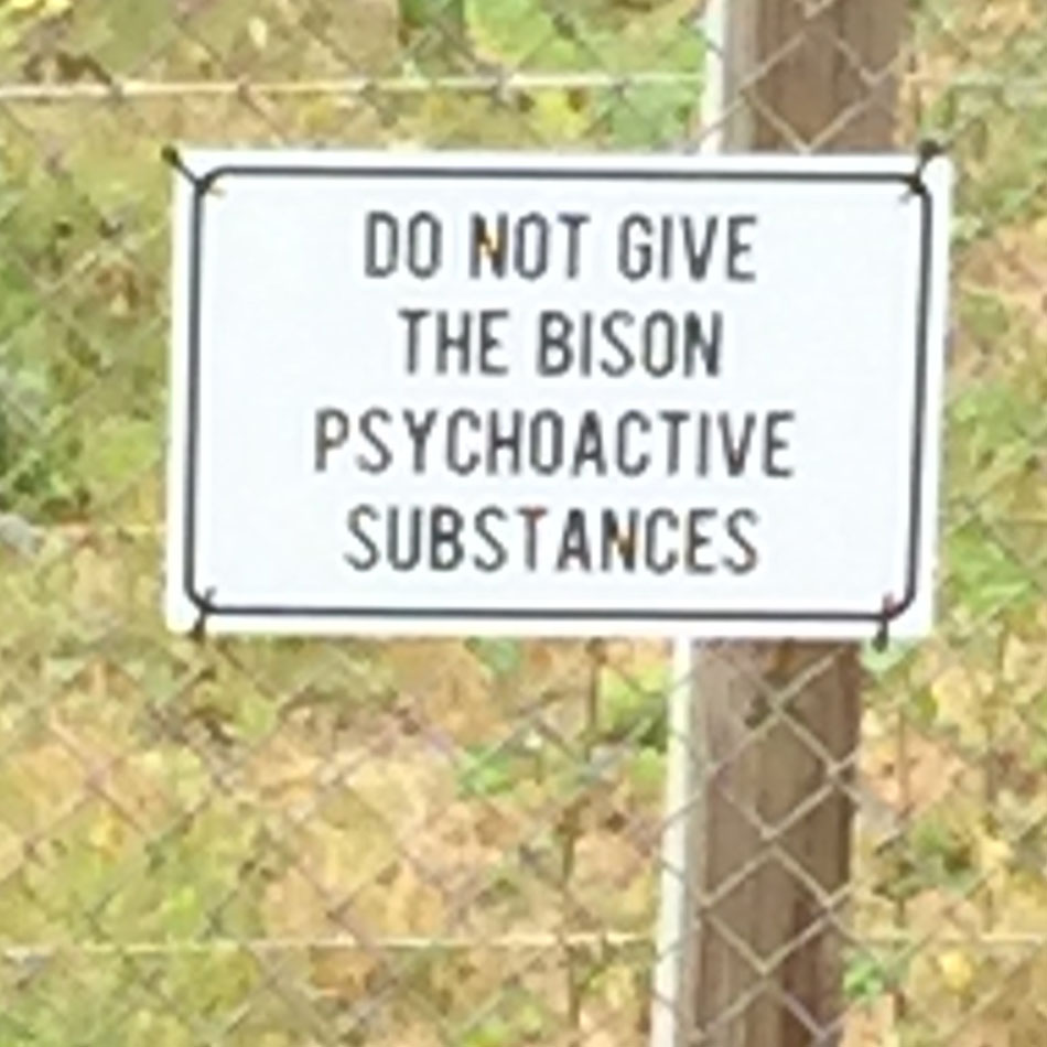 psychoactive-bison